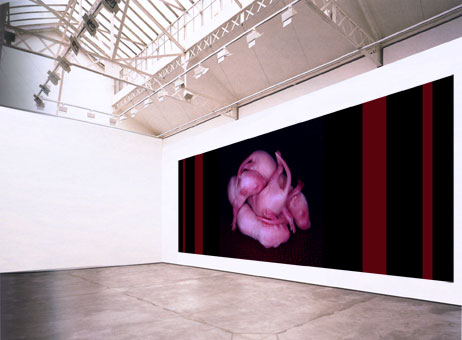 virtual gallery installation