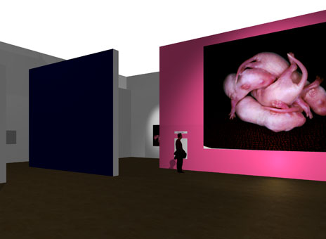 virtual museum installation